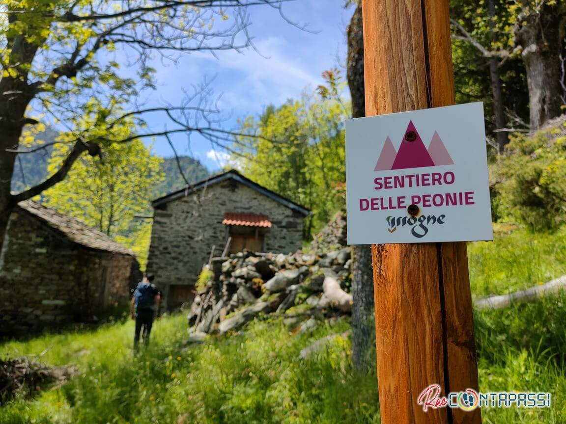 sentiero-peonie-valle d'aosta