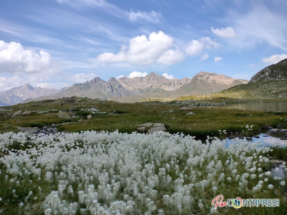 laghi-boden